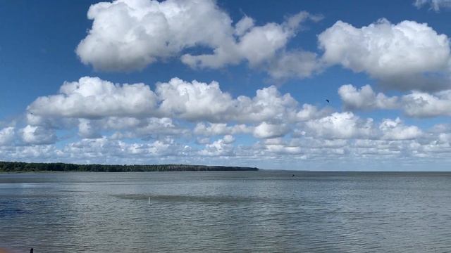 Калининград - Куршская коса: обязательный маршрут, по которому нужно проехать (Обзор Куршской косы)