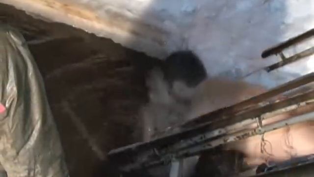 Освящение воды в Белгородской области смотреть онлайн