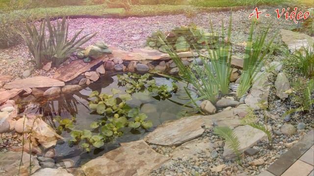 ?Очаровательная красота садовых композиций Идеи для вдохновения / Ideas for the garden / A - Video смотреть онлайн