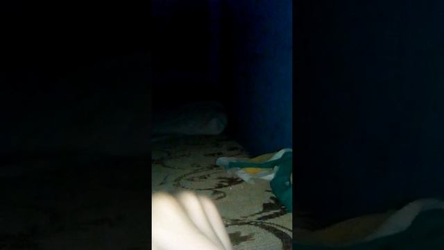 Челендж до 5 часов утра не спать смотреть онлайн