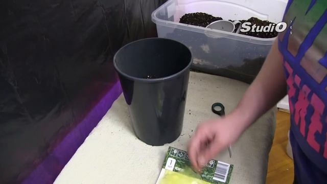 Креативное Рукоделие