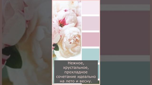 Сочетание цветов. Мятный и розовый смотреть онлайн