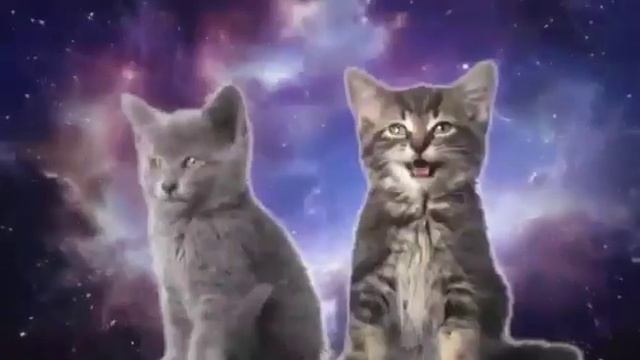 Песенка котиков)Няшка.. смотреть онлайн