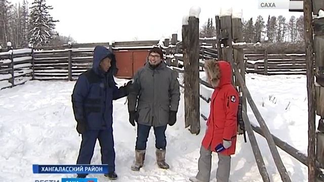 ИСТОРИЧЕСКОЕ ПЕРЕСЕЛЕНИЕ БИЗОНОВ смотреть онлайн