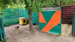Мама Алла наводит красоту, маленький Ральф и радостный Витюша