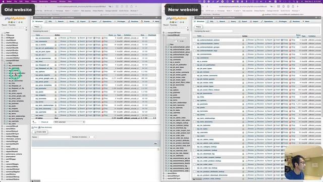 How to export and Import Custom Content Types (CCT) without any plugins смотреть онлайн
