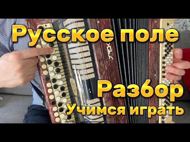 Учимся играть на баяне "РУССКОЕ ПОЛЕ" Понятный разбор смотреть онлайн