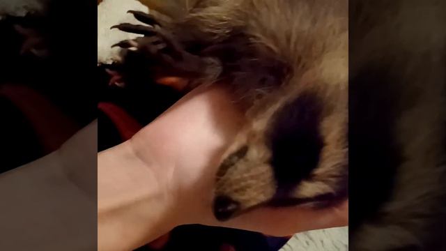 dehydrated baby, video 2 смотреть онлайн