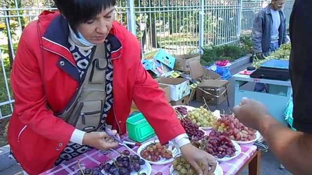 Выставка винограда в Донецке _04.09.2021 (Донецкий Ботанический сад) 4 часть смотреть онлайн