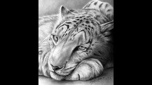 Топ 25 самых красивых рисунков в мире