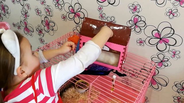 Перевоплощаюсь в #Хелло Китти и играю с моим питомцем. смотреть онлайн