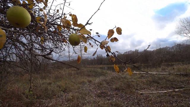 Рыбалка на щуку в ноябре. Рыбалка на спиннинг. смотреть онлайн
