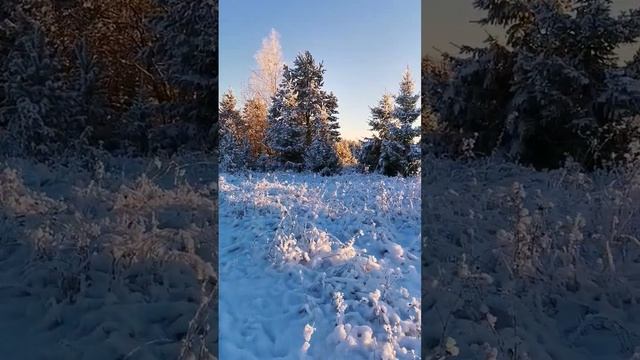 ?КАК В СКАЗКЕ МОРОЗКО? смотреть онлайн