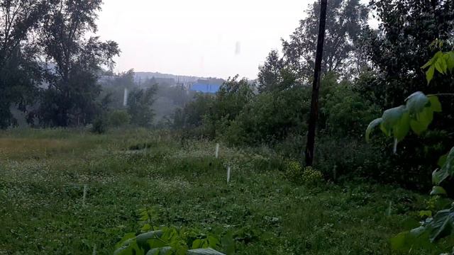 В Сосновском районе пройдут дожди смотреть онлайн