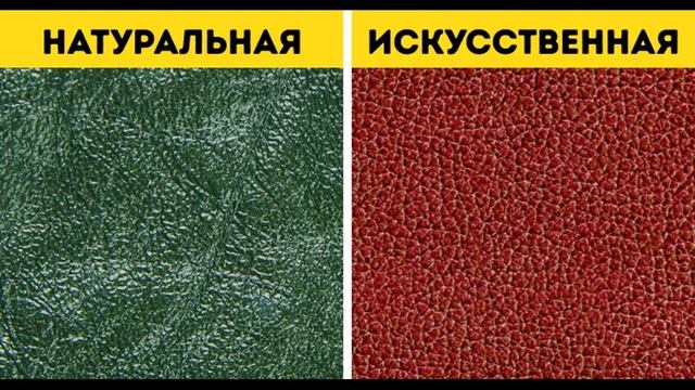 Как отличить натуральную кожу от искустввенной смотреть онлайн