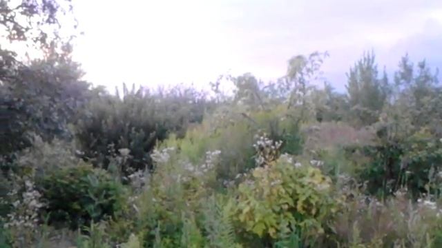 Ветряк на даче. смотреть онлайн