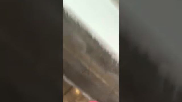 Предчистовая отделка. Сравнение работы профессионалов и обычных людей смотреть онлайн