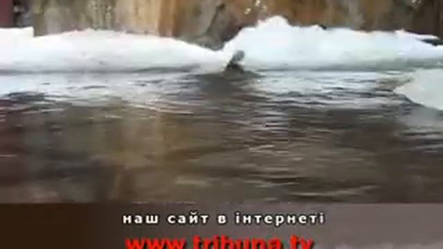 коммунальный ад~1 смотреть онлайн