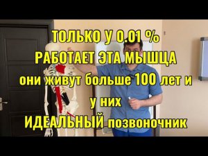 Эта мышца работает только у 0.01% людей и у них идеальный позвоночник. СРОЧНО восстанови ее!!!