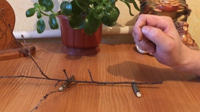 Сушка древесины. Как высушить доску в домашних условиях. смотреть онлайн