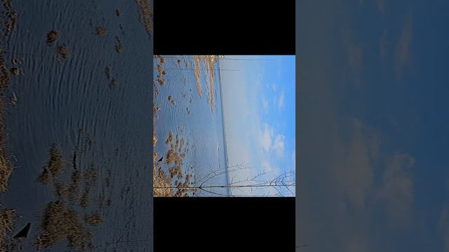 финский залив смотреть онлайн