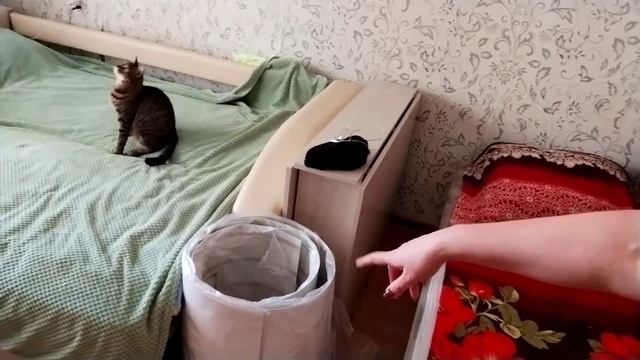 Ну не стряпуха ??, оладьи тонкие, но вкусные? смотреть онлайн