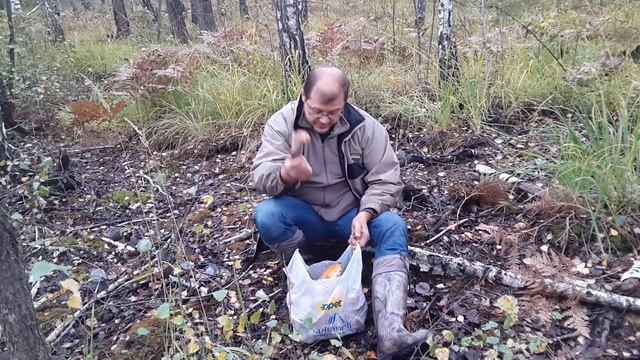 Грибы на 33-м полигоне в сентябре (Остер, Десна) смотреть онлайн