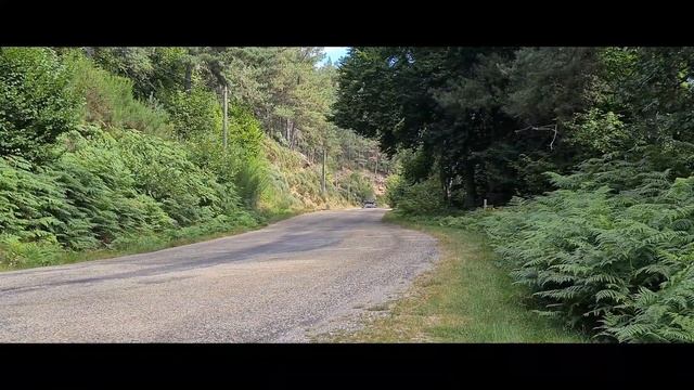 Ford Puma WRC 2022 test asphalte смотреть онлайн