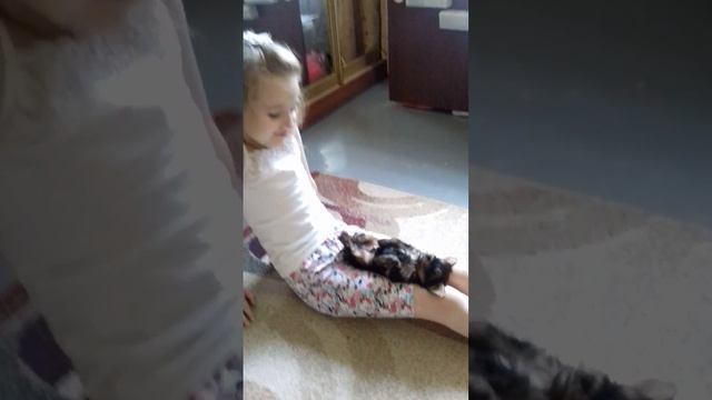 Милота💕 смотреть онлайн