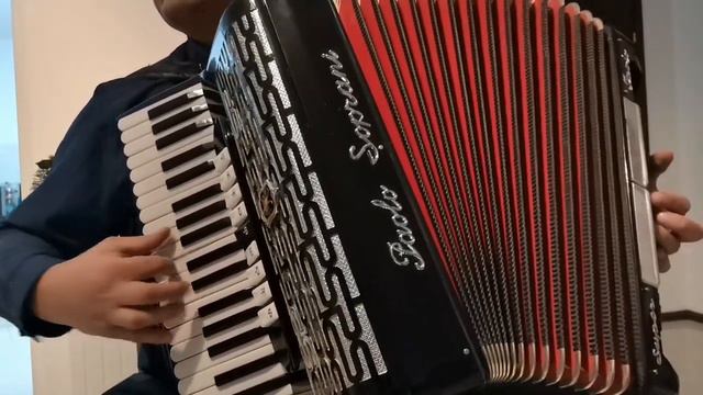 Akordeon Akkordeon Accordion Paolo Soprani(mod.Super Paolo) 120/4/5 Musette( Casotto)