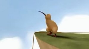 Киви. Птица без крыльев. Но она летит!