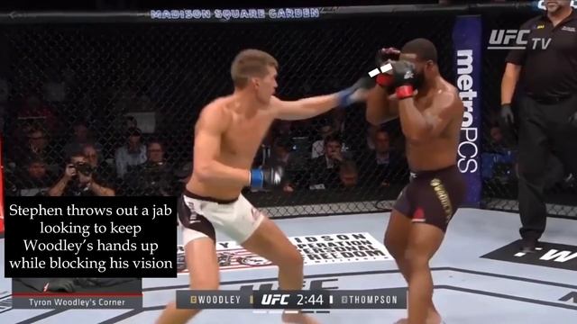 Stephen Thompson: Zig Zag