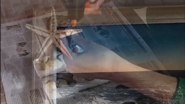 Изделия из ракушек смотреть онлайн