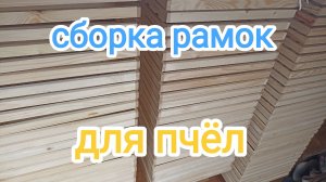 Пасека в феврале. Заготовка рамок для пчёл. Пчеловодство!
