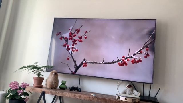 Малыш даёт жару ? Экстремальное качание в шезлонге ?Дэниелу 5 месяцев ?? Будни мамы в Швеции смотреть онлайн