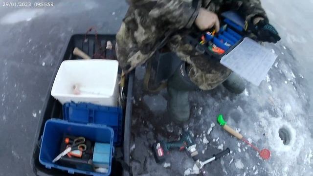 Вытащили трофей на Ладоге. Рыбалка на льду в Криницах. смотреть онлайн