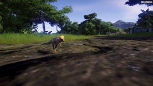 Homalocephale - The Cutest Dinosaur can fight now | Jurassic World Evolution