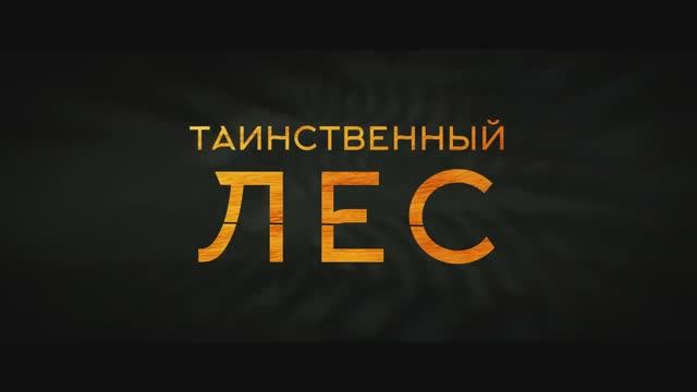 Таинственный лес (2024) смотреть онлайн