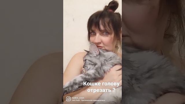 Наташа , кошке голову отрезать ? она такое ест , кошка голову не ест ,мейн кун кошка смотреть онлайн