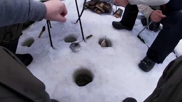 MirCamping Mir 2023 ПОЙМАЛИ ХАРИУСА И 20 КГ СЕРОЙ РЫБЫ ЗА НЕСКОЛЬКО ЧАСОВ ! смотреть онлайн