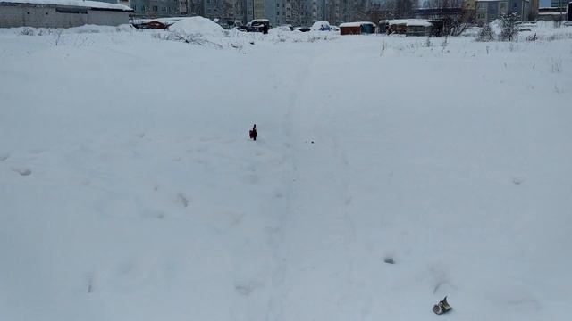 Что будет если взорвать солдатика? смотреть онлайн