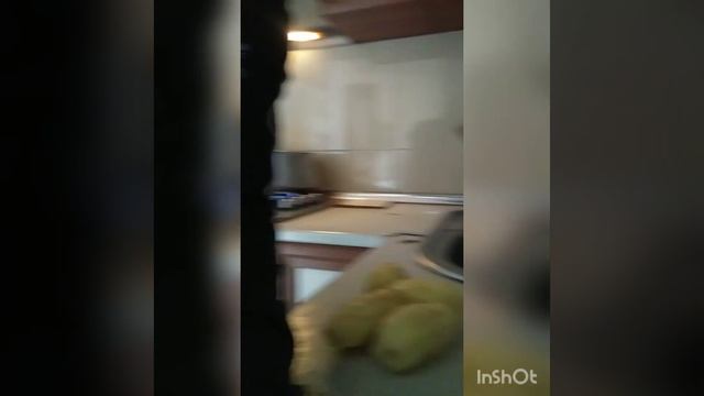 суп для собак