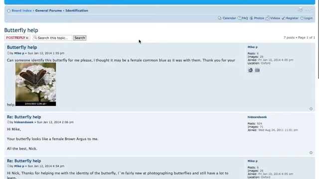 How to navigate the forums смотреть онлайн