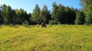 Круг души.Лемболово 24-26 июня 2022. Ленинградская область