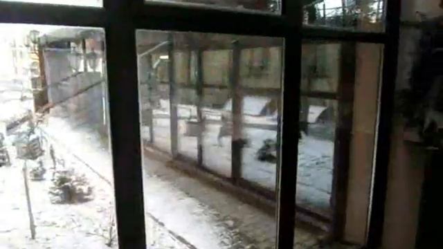 Ботанический сад. Город Брест смотреть онлайн