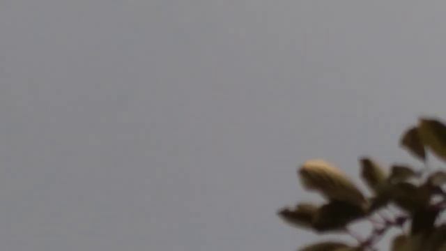 16 октября продолжение НИКОЛАЕВСКАЯ БАБОЧКА Ростовская область ст. Егорлыкская. смотреть онлайн