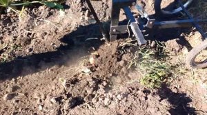 Мотолебедка для копания картофеля ч.1