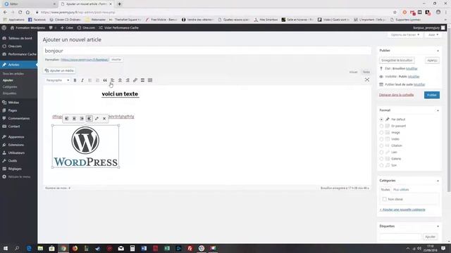 Créer un article sur Wordpress #6 смотреть онлайн