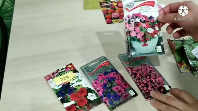 Дубак в марте ? Что посадила? Обзор семян март 2022? Переезд в Краснодар смотреть онлайн