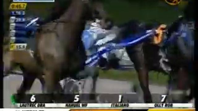 31/01/2013, Aversa Trotto, Premio Olanda смотреть онлайн
